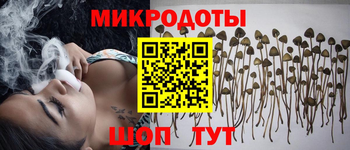Галлюциногенные грибы мухоморы  Вход с VPN  Клинцы 